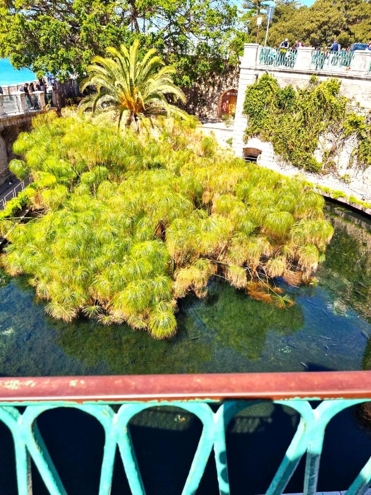 Dolce Rame Ortigia Daire Siraküza Dış mekan fotoğraf